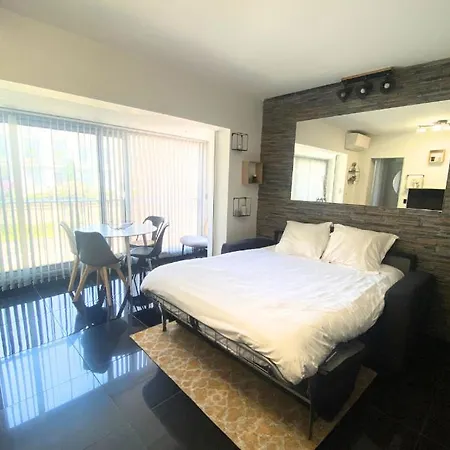 Cosy 2 Pieces - Palais Croisette Apartment Cannes